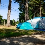Emplacement Camping Tente - Presqu'île de Rhuys